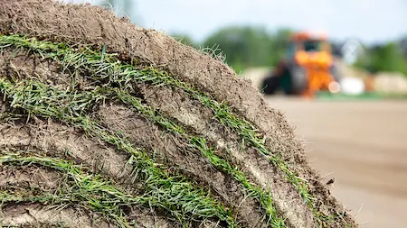 Hybridrasen Fußball