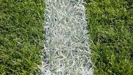 Naturrasen Fußball Sportplatz